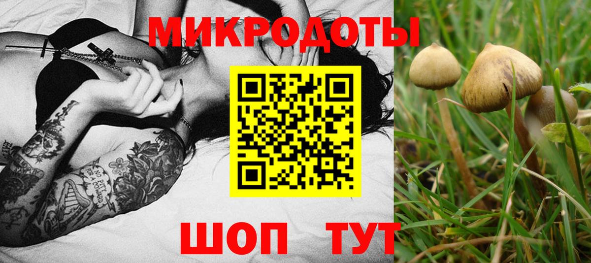Псилоцибиновые грибы MAGIC MUSHROOMS  Псилоцибиновые грибы мицелий  Будённовск  Вход с VPN 